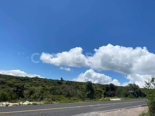 Imagen 15 de 24 de Se Vende Rancho En Hidalgo Para Inversionistas