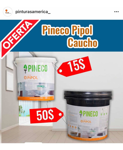 Pintura Clase B Lavable Economica