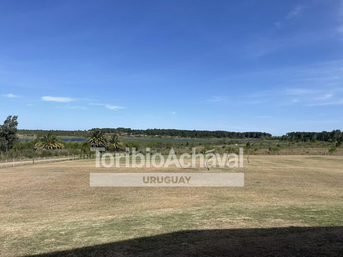 Imagen 2 de 17 de Excelente Local/salón De Eventos Sobre Amplio Terreno Parquizado- Colonia