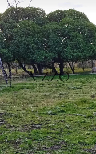 Oportunidad Chacra De 3 Ha En Venta En San Bautista
