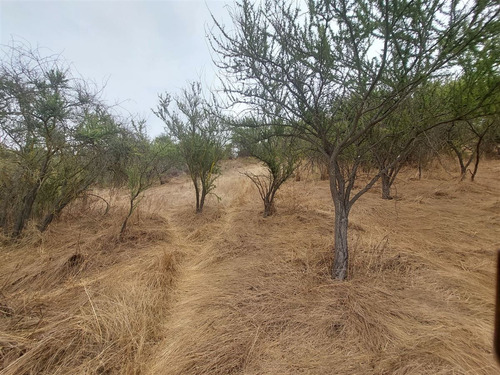 Terreno 5065 Paradero 8 Los Maitenes Limache