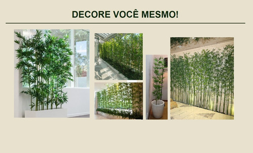 Imagem 3 de 3 de Planta Artificial Arvore Bambu Da Sorte Real Toque