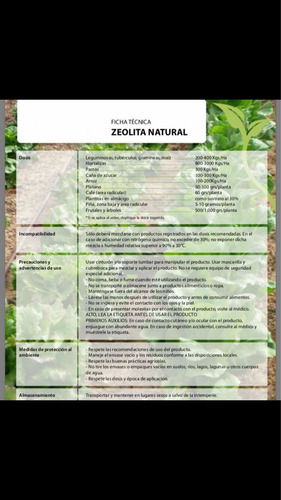 Zeolita En Polvo 10 Kg