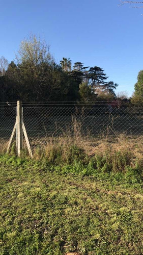 Imagen 7 de 7 de Venta Lote Lezica Y Torrezuri
