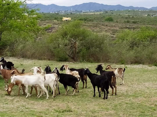 Terreno En Tanti, Cordoba