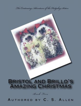 Libro Bristol And Brillo's Amazing Christmas : The Hedgeh...