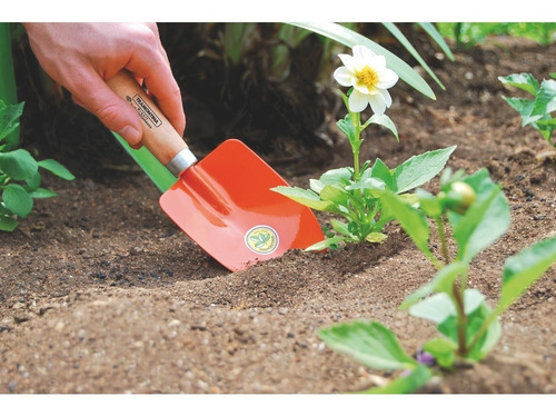 Palita Ancha Acero Mango Madera Jardin Tramontina