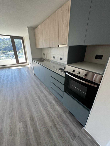 Dpto En Arriendo En Concepcion Av Roosevelt (84923)