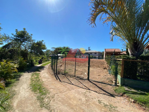 Terreno Para Venda Em Florianópolis, Ratones - T118_1-1849395