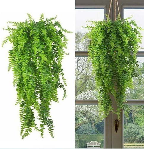 Planta Colgante Jardín Vertical Deco