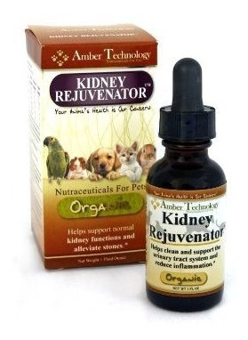 Amber Tech Kidney Rejuvenator Allnatural Soporte Renal Organ