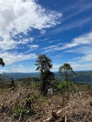 Lote En San Carlos Antioquia
