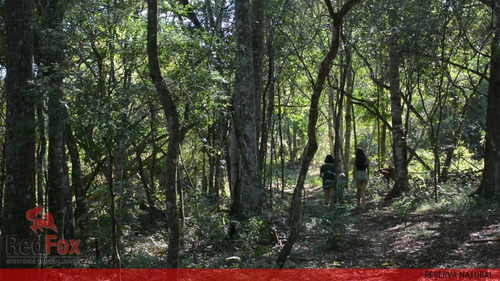 Imagen 6 de 11 de Venta Lote 6 Sobre Ruta 213 Con Salida A Ambas Calles - Barrio Naranjos Country