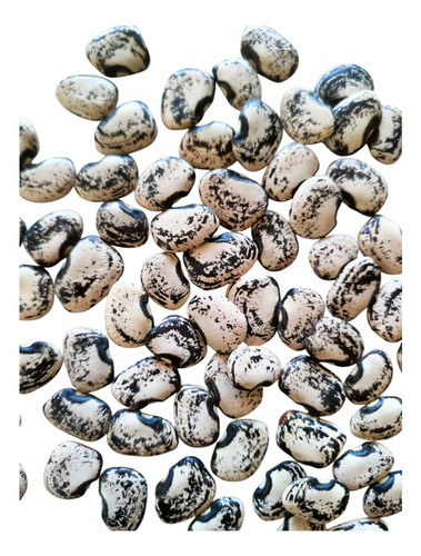 Combas Frijol Comba Semilla Artesanal De Guerrero - 500g.