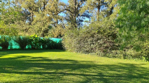 Open Door, Las Casuarinas Del Chalet, Sin Expensas 901 M2 ( Lote En Open Door )