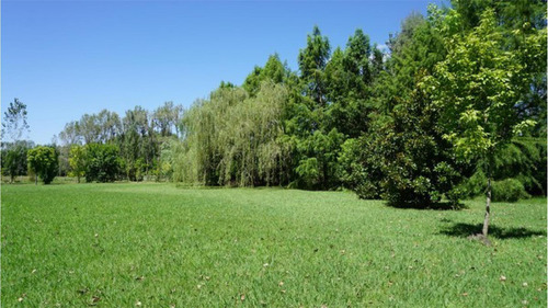 Imagen 6 de 28 de Un Paraiso Entre Caballos Bosques Y Arroyo