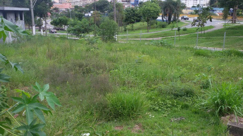 Terreno Para Alugar, 7300 M² Por R$ 70.000,00/mês - Vila Sacadura Cabral - Santo André/sp - Te1009