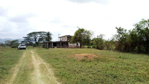 Imagen 5 de 15 de Finca En La Alegría En Yaracal Cerca De Tucacas