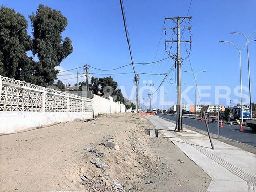 Imagen 6 de 12 de Arriendo Lote De 1000 M2, Sector La Chimba