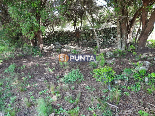 Imagen 14 de 22 de Linda Chacra De 5 Has En Las Cañas