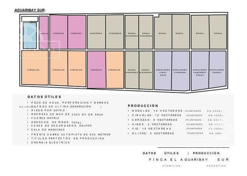 Imagen 2 de 30 de Campo - Finca Productiva De Primer Nivel, Mendoza, 80 Hectareas