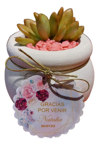 Souvenirs De Cactus Y Suculentas. Modelo Vasija Rústica 