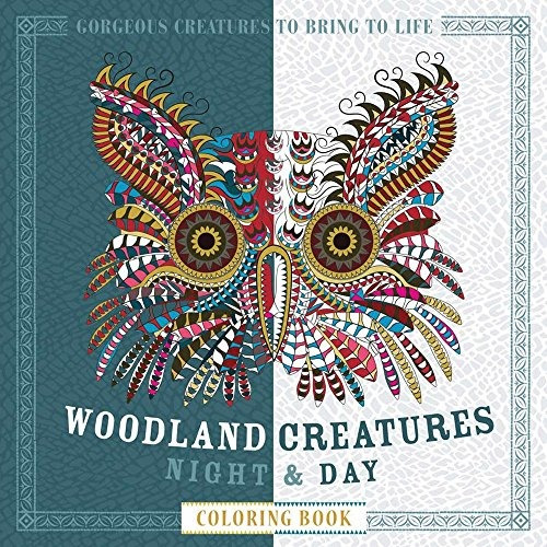 Woodland Creatures Night  Y  Day Coloring Book Gorgeous Crea