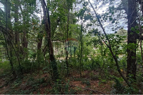 Parcela A Orillas De Río Trancura, Pucón