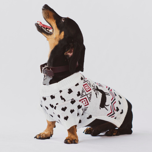 Sueter Para Perro Urban Dog Merry Blanco Talla 0 - 15