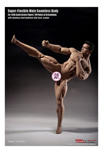 Jj Modelo De Cuerpo Musculoso Tbleague Phicen De Hombre 1/6