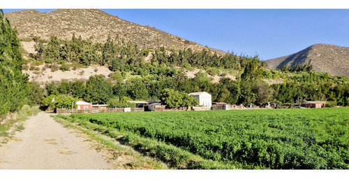 En Venta Terreno Agrícola De 4,5 Hectáreas, En Catemu.