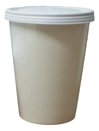 Envase De Carton 1 Litro Bio (100 Envases Con Tapa)