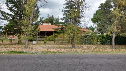 Imagen 4 de 21 de Casaquinta, Con Amplio Parque Y Terreno Cultivado, Galpones, A La Vera De Ruta Provincial 50.