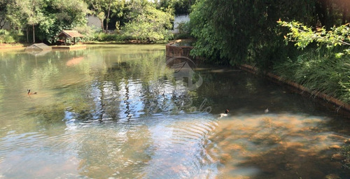 Imagem 11 de 16 de Lote À Venda Em Barão Geraldo - Lo116883