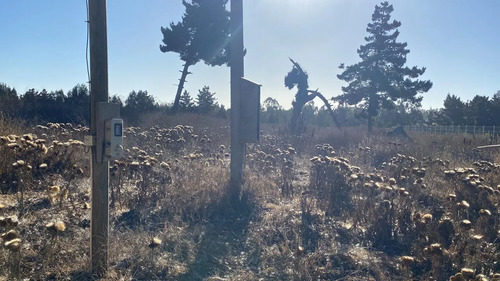 Se Vende Parcela De 1ha En El Sector Malvilla, San Antonio