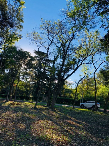 Imagen 5 de 8 de Venta Terrenos Super Arbolados En Zona Casa Quintas -