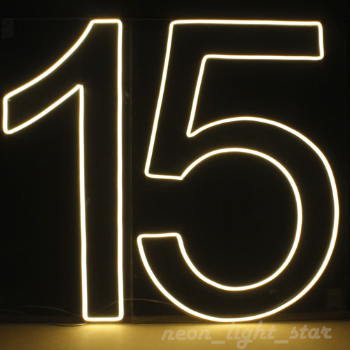 Placa Luminoso Led Neon Número 0 A 9 70cm Aniversário Rgb