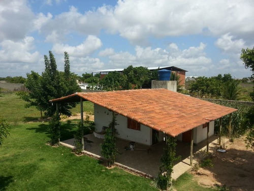 Imagem 1 de 8 de Terreno 10.000m Com Casa Em São Jose De Mipibú