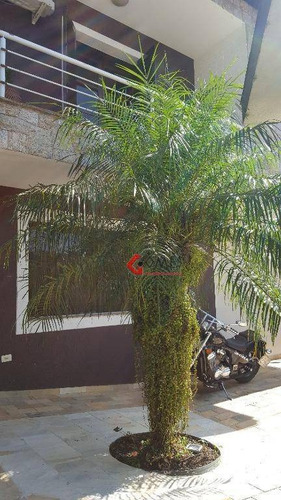 Imagem 4 de 30 de Sobrado Residencial À Venda, Parque Dos Pássaros, São Bernardo Do Campo. - So0721