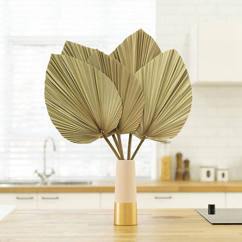 Hojas De Palmera Secas Para Decoración De Habitación, 10 Pie