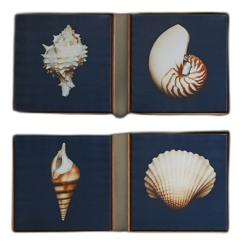 Madison Park, Ocean Seashells Juego De 4 Piezas, Lienzo Enma