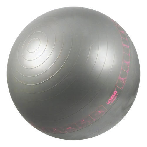 Bola Suíça Para Pilates 65 Cm Cinza Liveup Ls3577-c