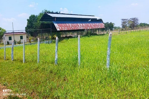 Imagen 6 de 11 de Rp Asein1110 Vende Hermosa Finca En Achagua, Estado Apure. Venezuela