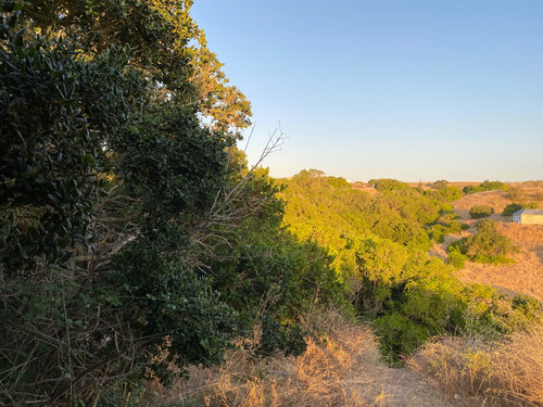 Parcela Con 2 Casas, A Orillas De Reserva El Yali Y Playa.