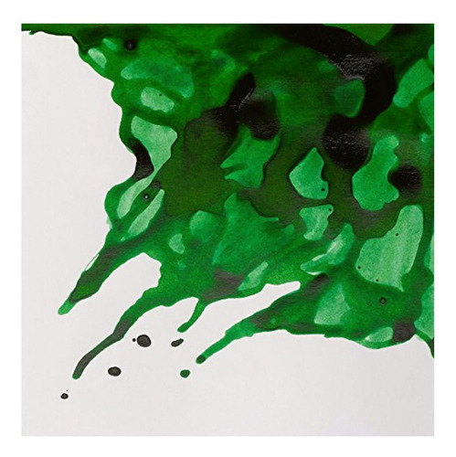 Winsor & Newton Drawing Ink Tinta De Dibujo De Secado