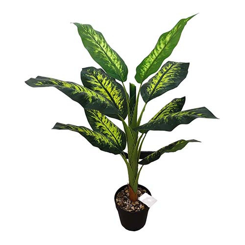 Planta Artificial Dieffenbachia - Desillas