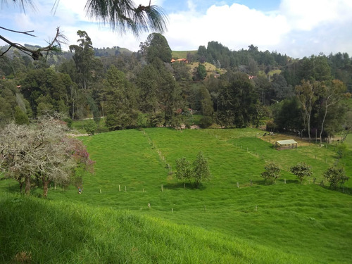 Terreno Para Venta En San Felix Bello 