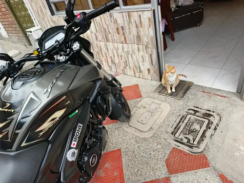 Dominar 250 Soat Y Tecno Nuevos