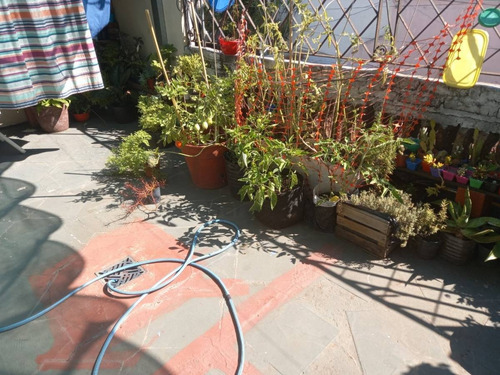 Imagen 22 de 22 de Venta En Bloque 2 Ph Con Patio, Terraza Y Cochera En San Andres