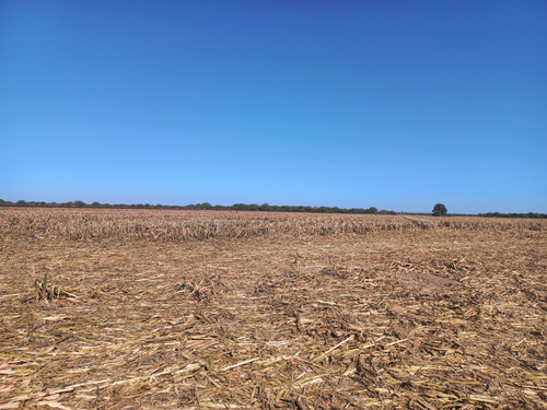 Flores Propiedades Vende Finca En Taquello (a 11 Kms. De Termas De Rio Hondo)